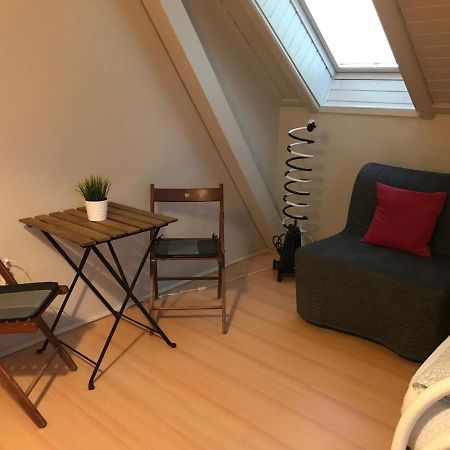 Cosy Rooms On The Lake Near Budapest And The Airport Isaszeg Zewnętrze zdjęcie
