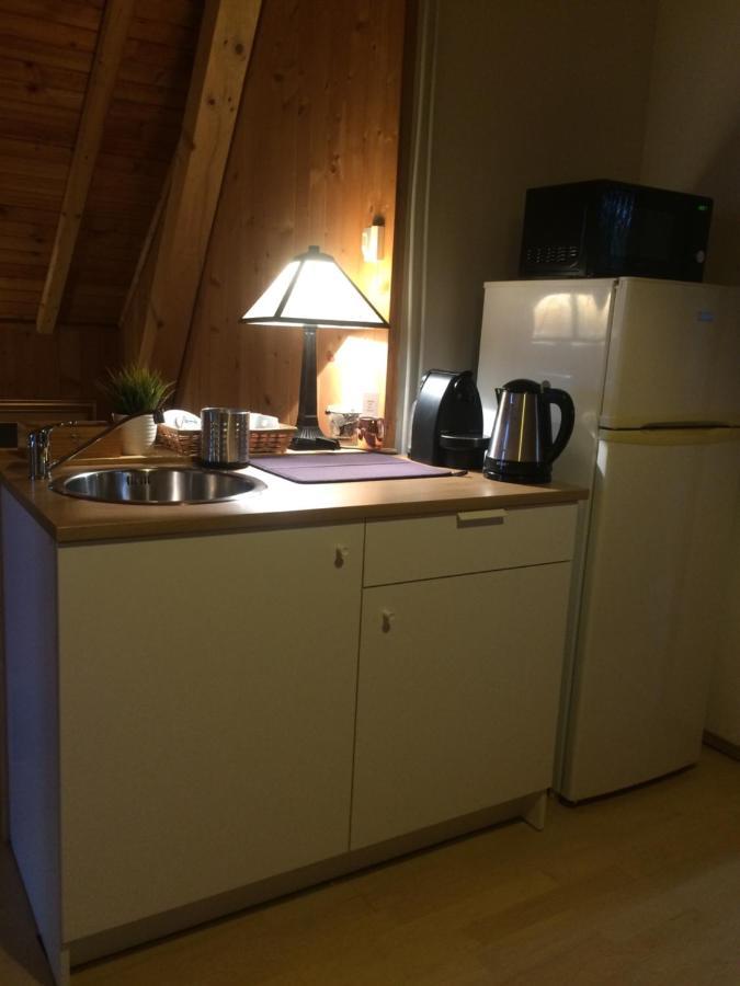 Cosy Rooms On The Lake Near Budapest And The Airport Isaszeg Zewnętrze zdjęcie